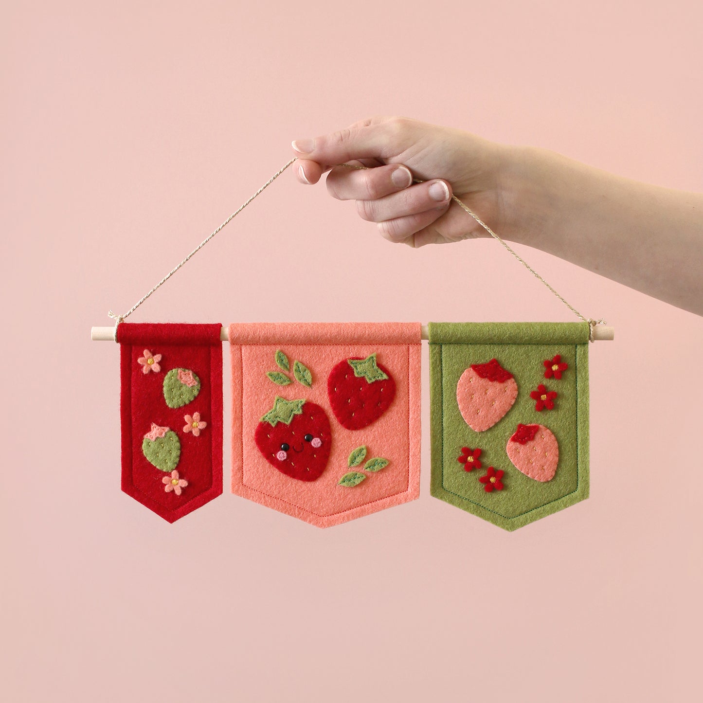 Strawberries in Three Colours Banner