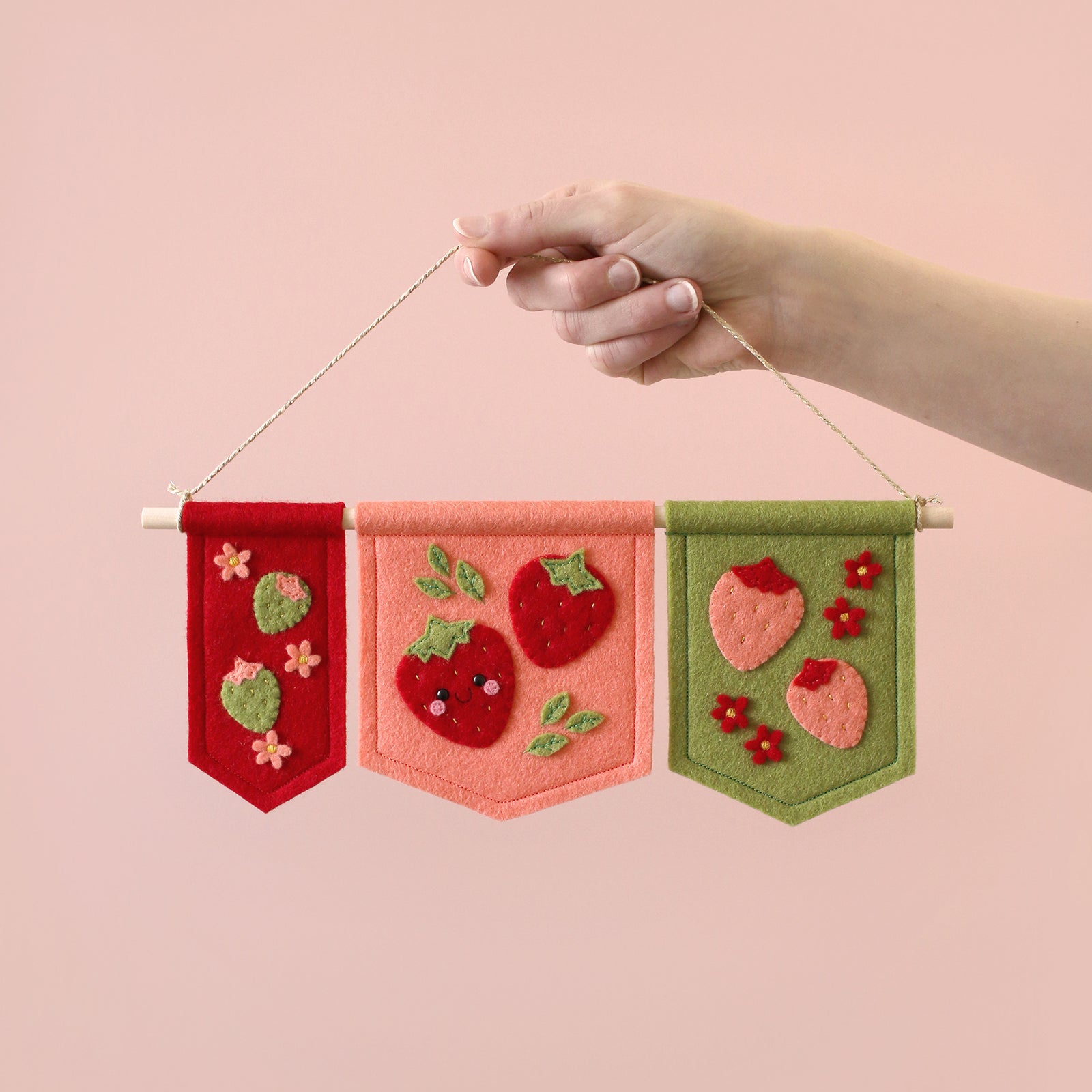 Strawberries in Three Colours Banner